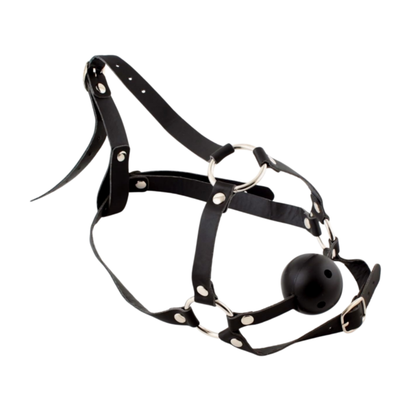 BLACK BALL GAG HEAD HARNESS-3